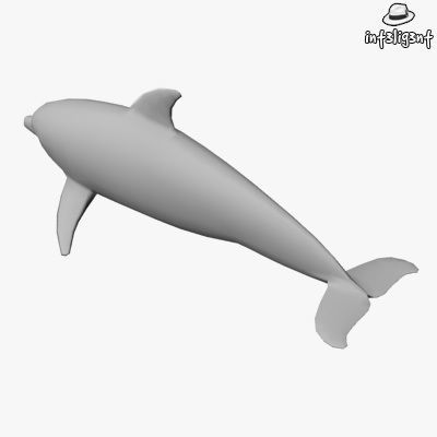 Low Poly Dolphin Low-poly 3D model_2