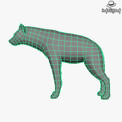 Low Poly Hyena dog Low-poly 3D model_4