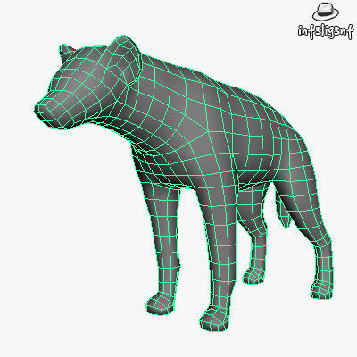 Low Poly Hyena dog Low-poly 3D model_3