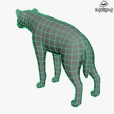 Low Poly Hyena dog Low-poly 3D model_5
