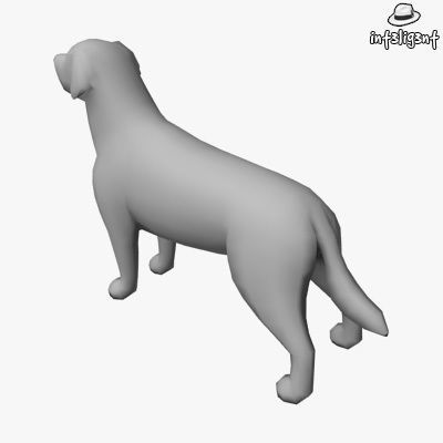 Low Poly Labrador Retriever Low-poly 3D model_2