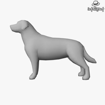 Low Poly Labrador Retriever Low-poly 3D model_1