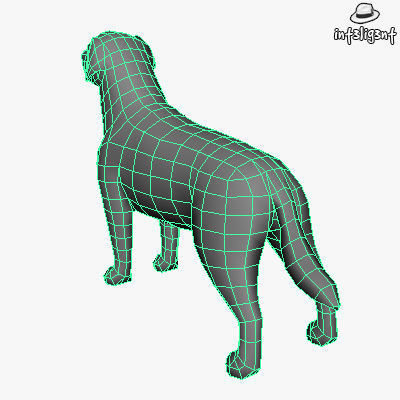 Low Poly Labrador Retriever Low-poly 3D model_5