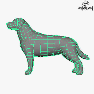 Low Poly Labrador Retriever Low-poly 3D model_4