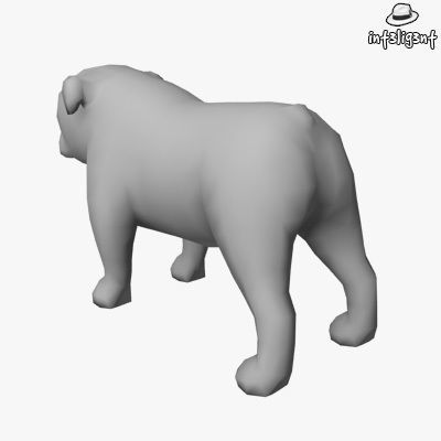 Low Poly English Bulldog Low-poly 3D model_2