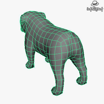 Low Poly English Bulldog Low-poly 3D model_5