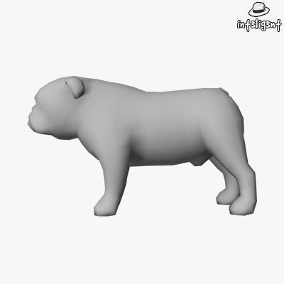 Low Poly English Bulldog Low-poly 3D model_1