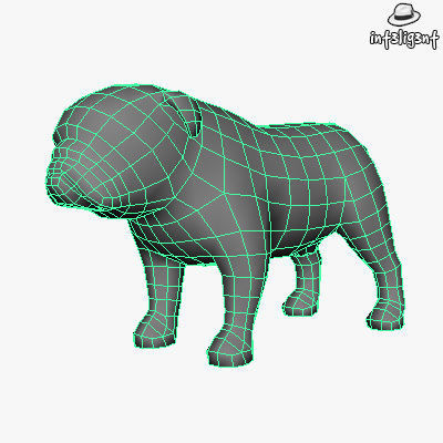 Low Poly English Bulldog Low-poly 3D model_3