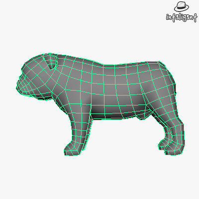 Low Poly English Bulldog Low-poly 3D model_4