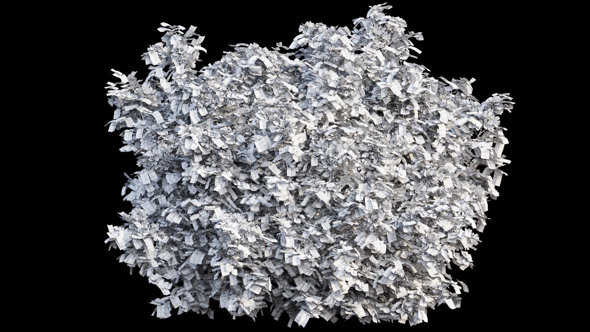 Bougainvillea plant set 03 3D model_8