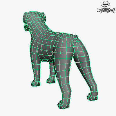Low Poly American Bulldog  Low-poly 3D model_5