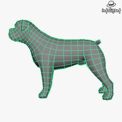 Low Poly American Bulldog  Low-poly 3D model_4