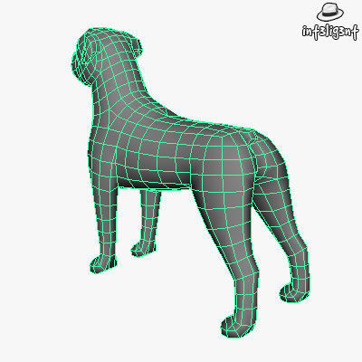 Low Poly Rottweiler boxer dog Low-poly 3D model_5