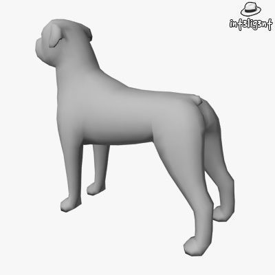 Low Poly Rottweiler boxer dog Low-poly 3D model_2