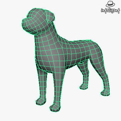 Low Poly Rottweiler boxer dog Low-poly 3D model_3