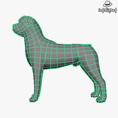 Low Poly Rottweiler boxer dog Low-poly 3D model_4