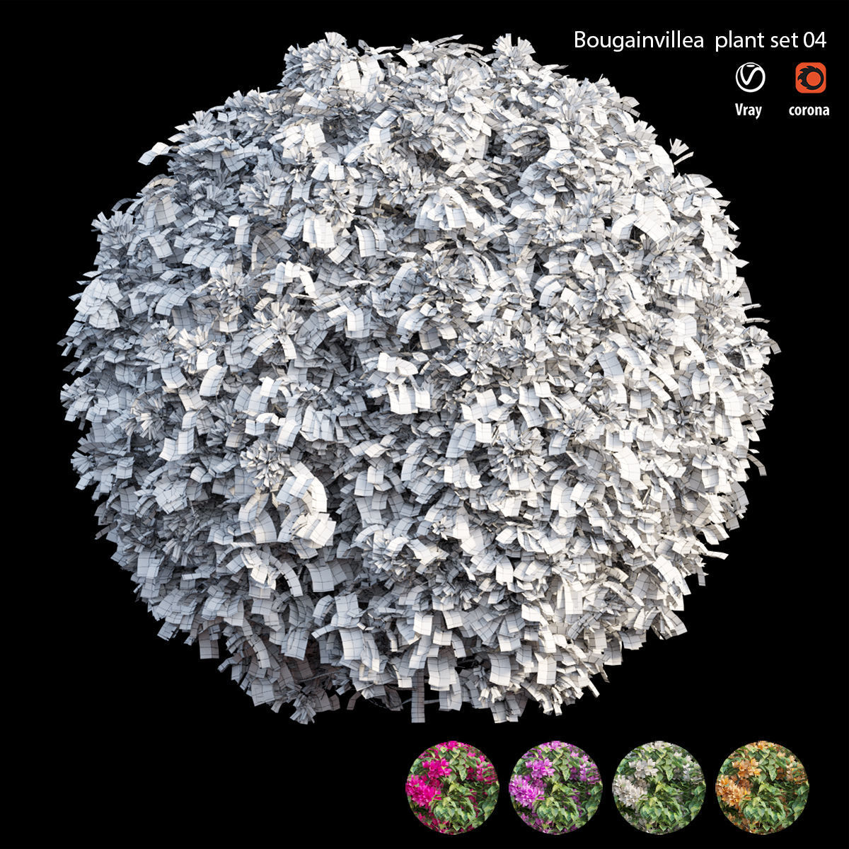 Bougainvillea plant set 04 3D model_4