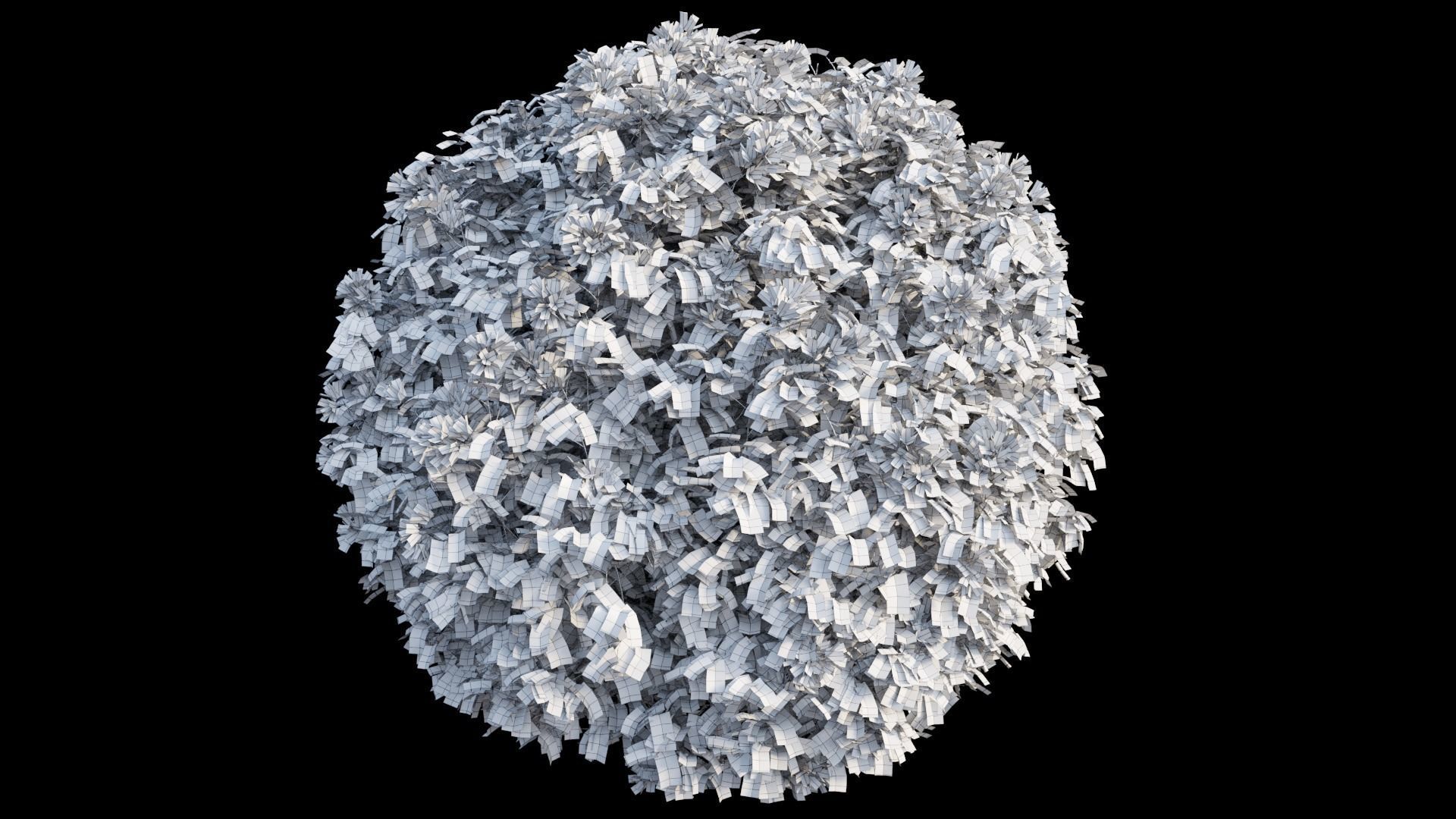 Bougainvillea plant set 05 3D model_9