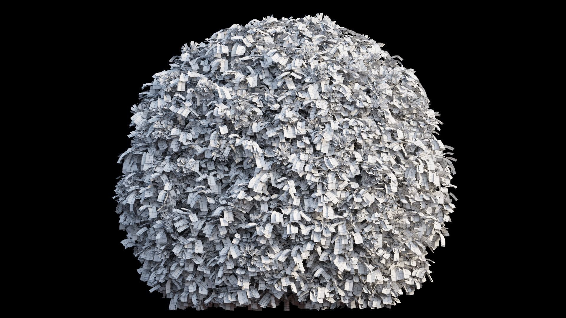 Bougainvillea plant set 06 3D model_5