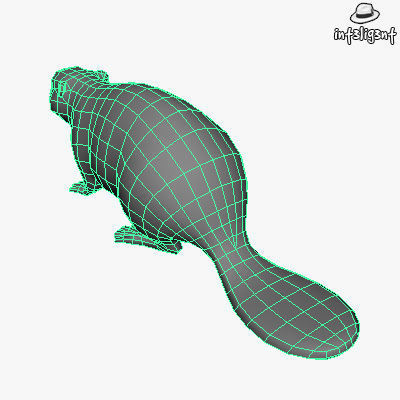 Low Poly Beaver Low-poly 3D model_5