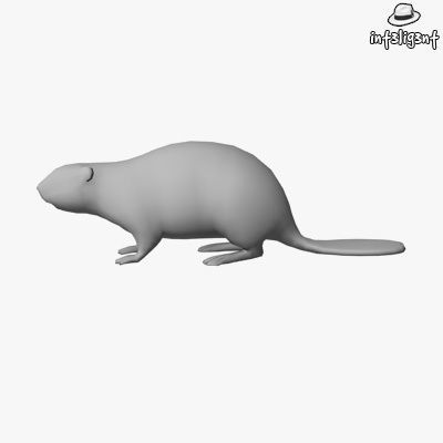 Low Poly Beaver Low-poly 3D model_1