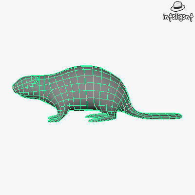 Low Poly Beaver Low-poly 3D model_4