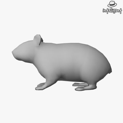 Low Poly Hamster Low-poly 3D model_1