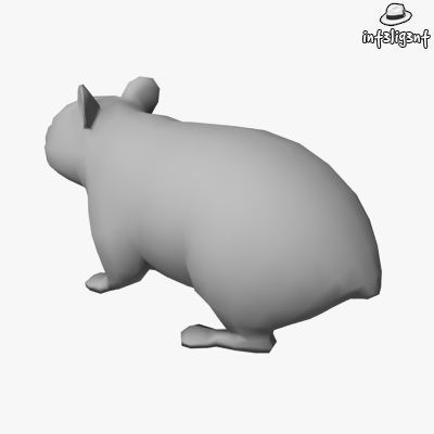 Low Poly Hamster Low-poly 3D model_2