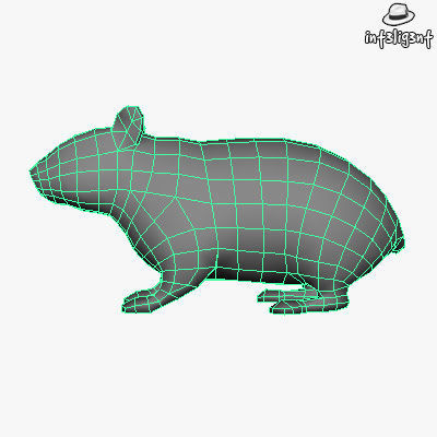 Low Poly Hamster Low-poly 3D model_4