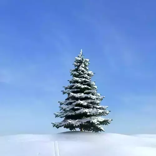 Snow Covered Pine Tree 3D model