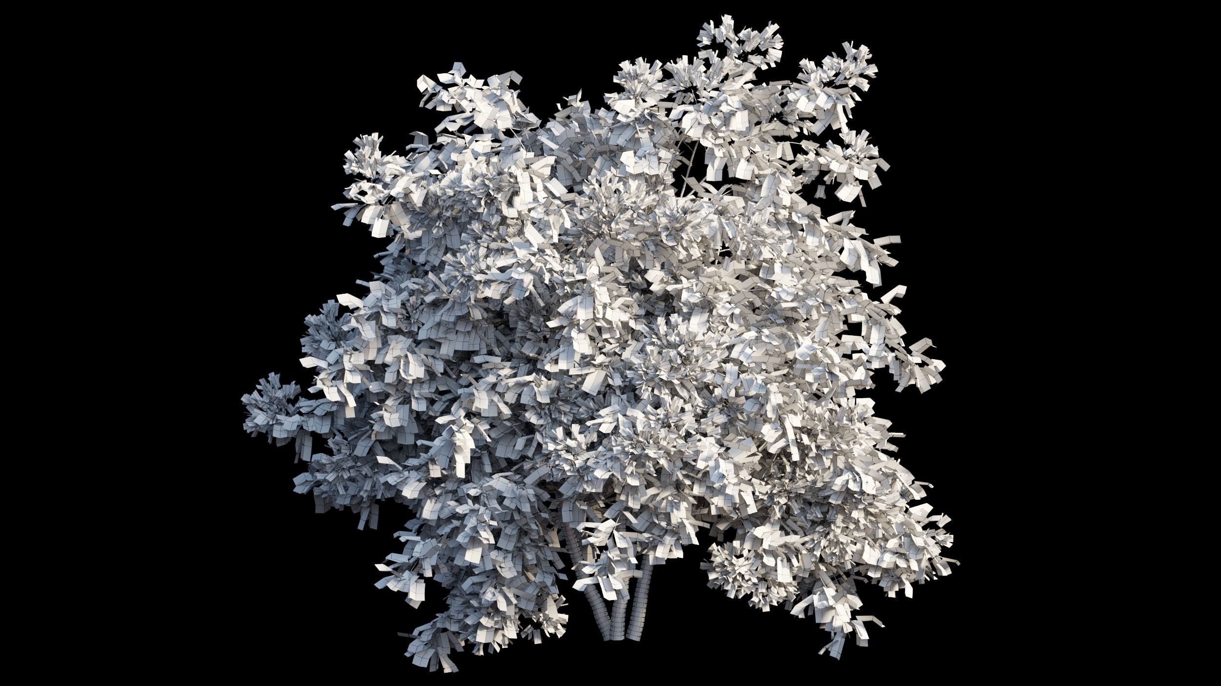 Bougainvillea plant set 08 3D model_9