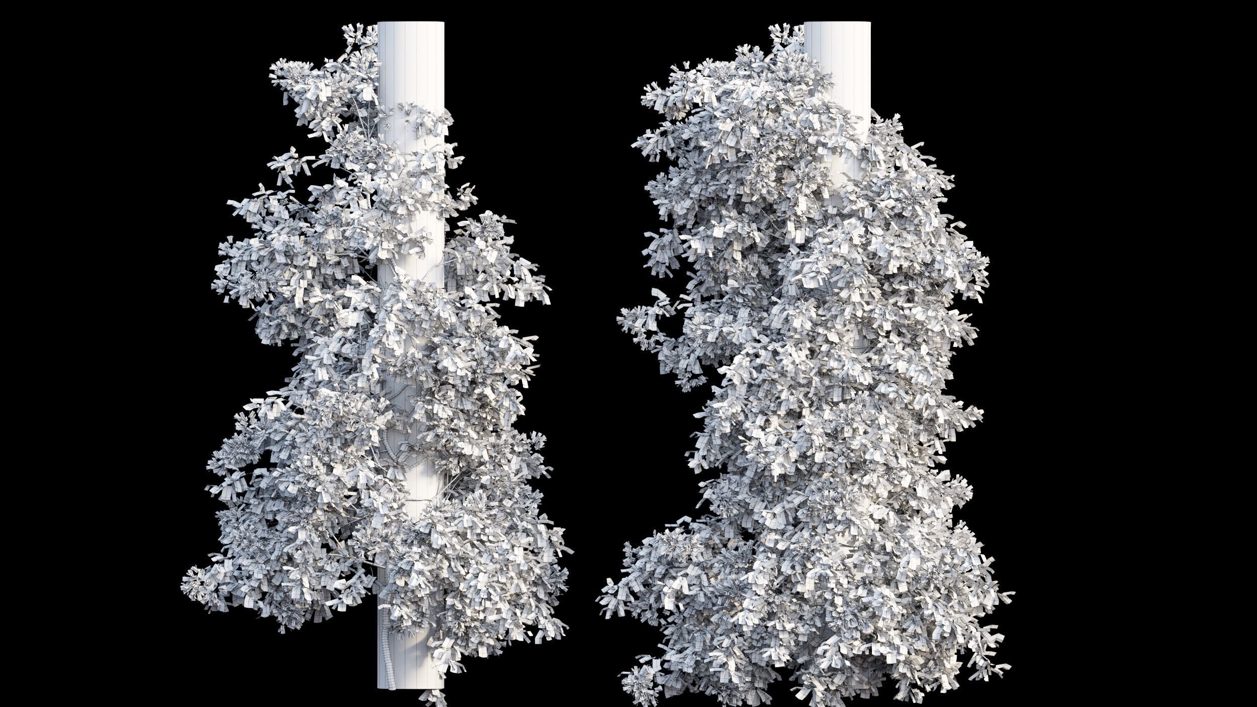 Bougainvillea plant set 09 3D model_9