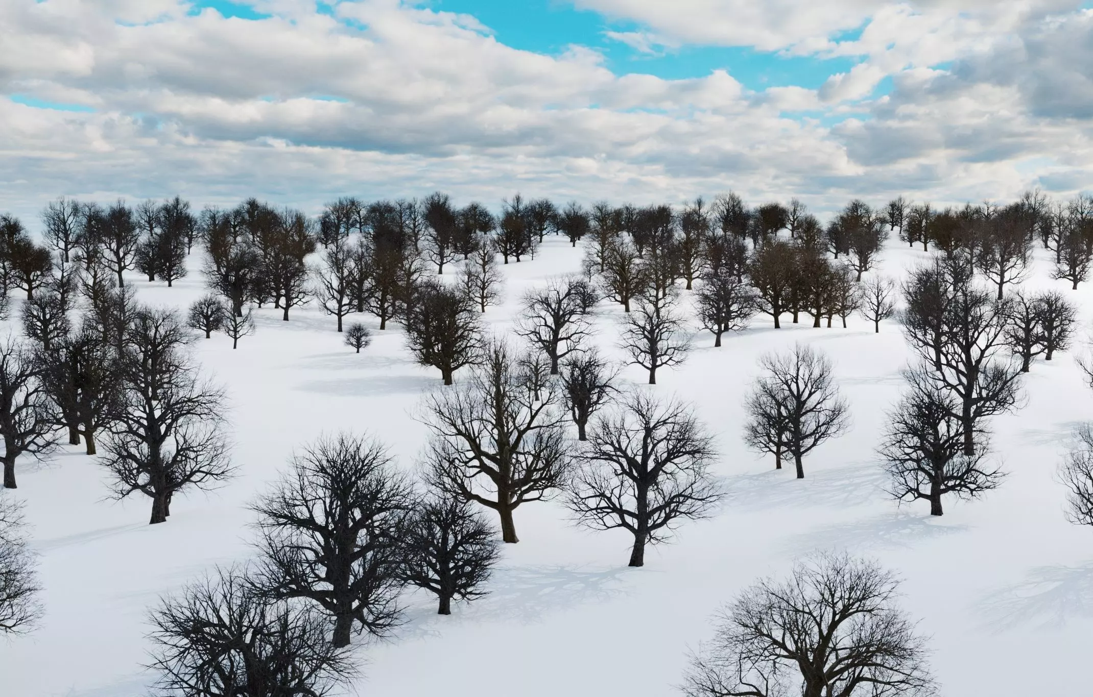 animation winter forest ver-1-0 3D model_0