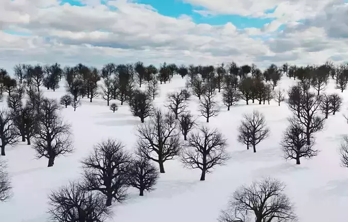 animation winter forest ver-1-0 3D model