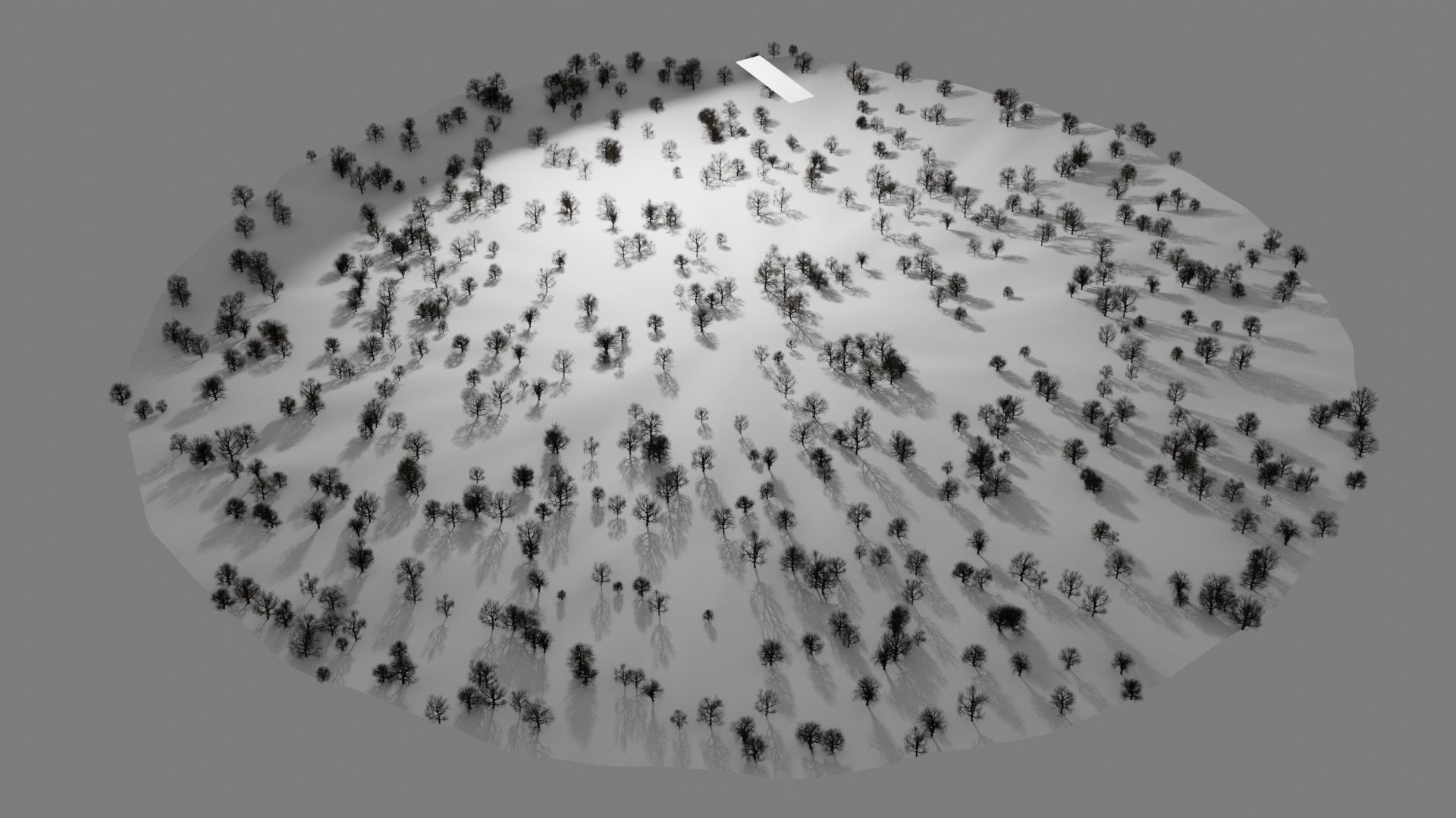 animation winter forest ver-1-0 3D model_13