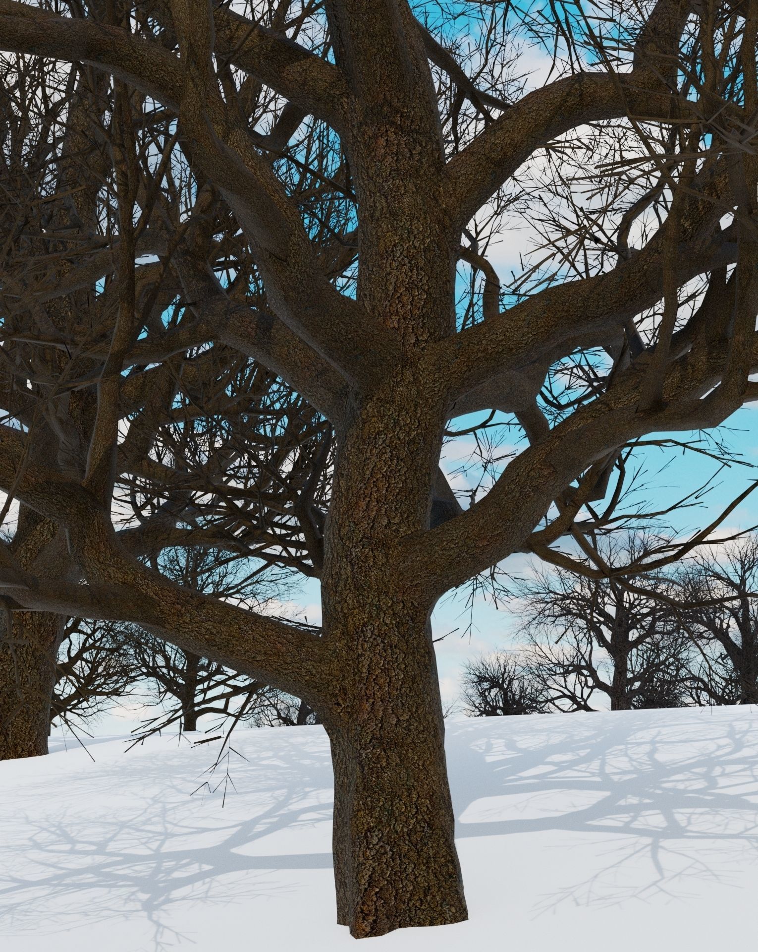 animation winter forest ver-1-0 3D model_4