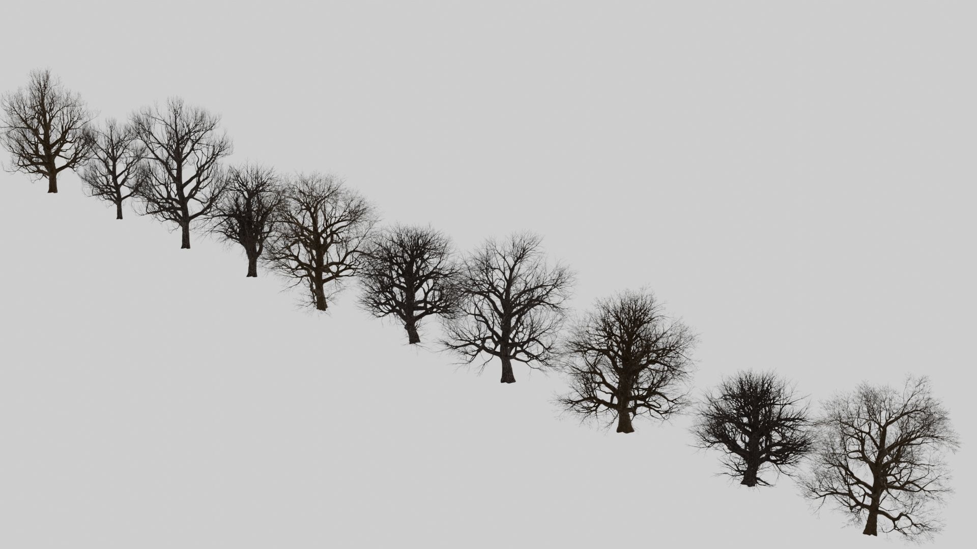 animation winter forest ver-1-0 3D model_3