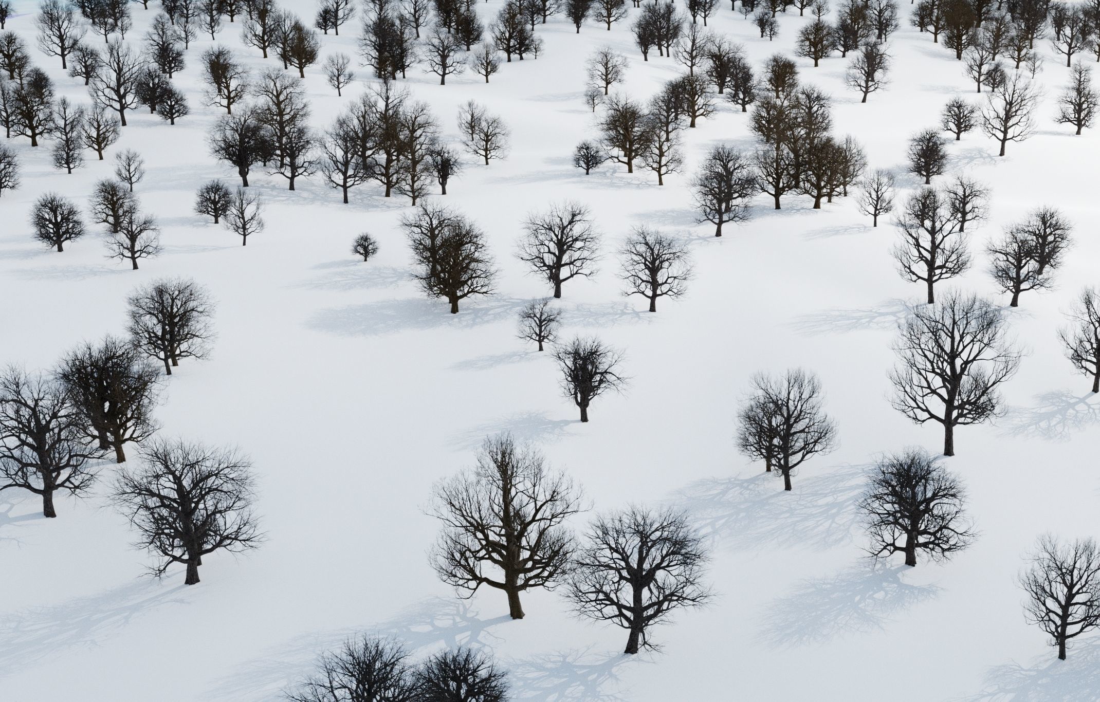 animation winter forest ver-1-0 3D model_6