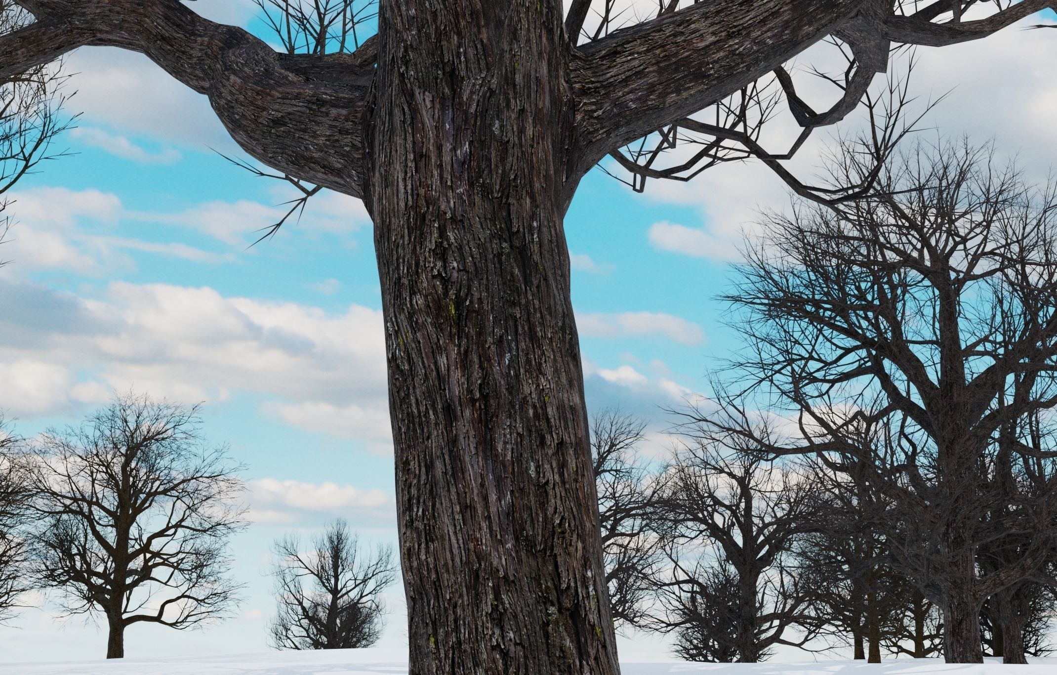 animation winter forest ver-1-0 3D model_5