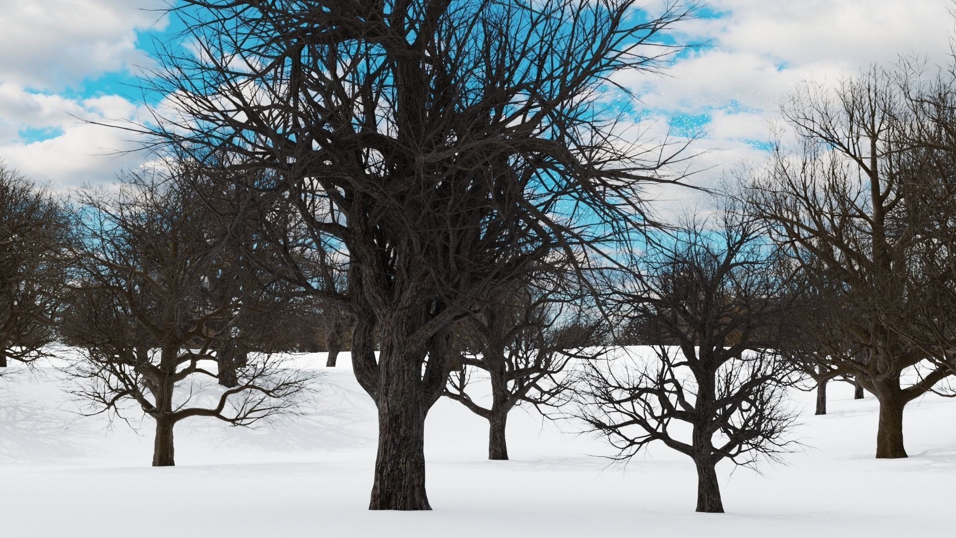 animation winter forest ver-1-0 3D model_9