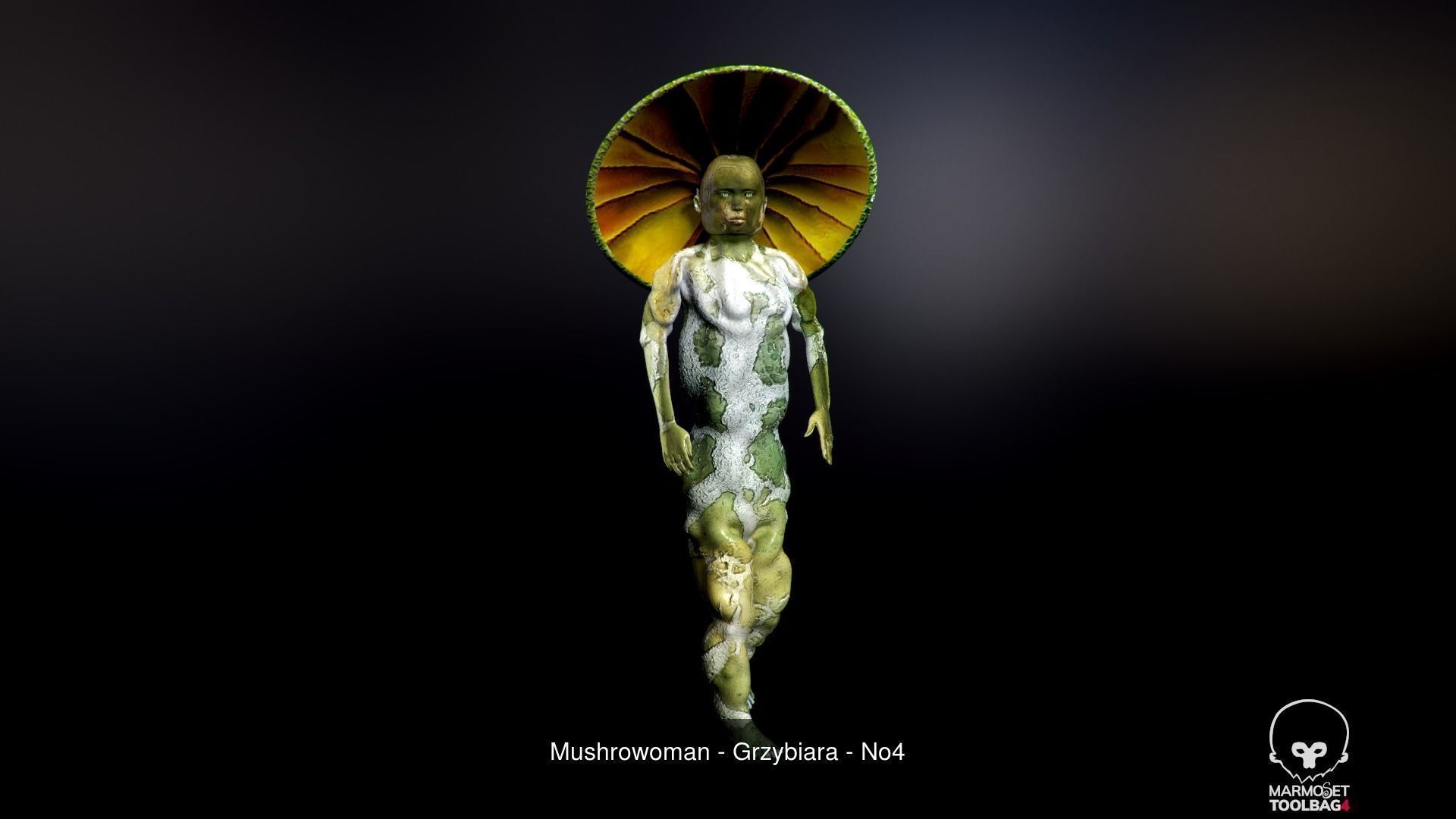 Mushroomans Collection fungus mushroom _22