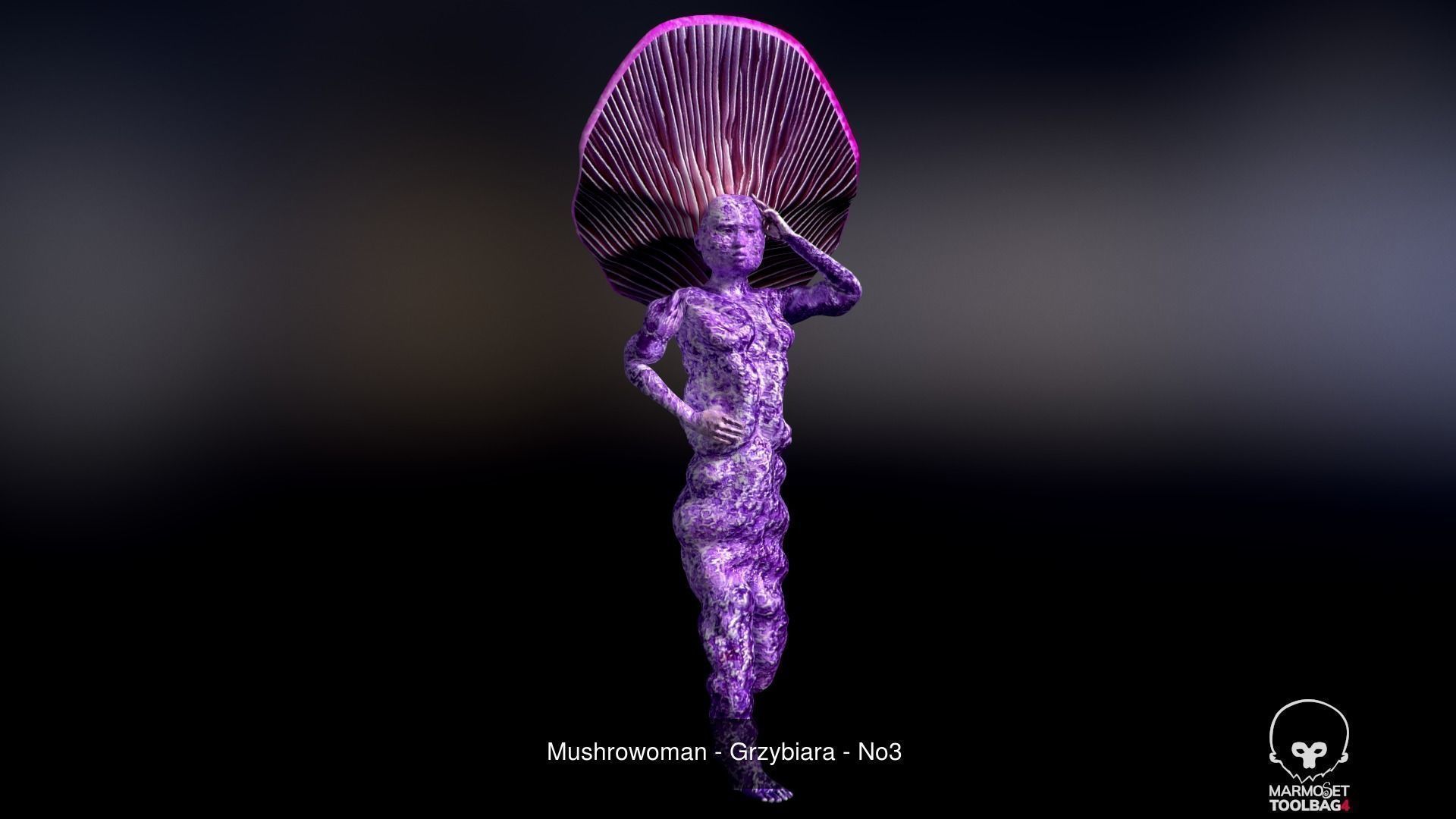 Mushroomans Collection fungus mushroom _20