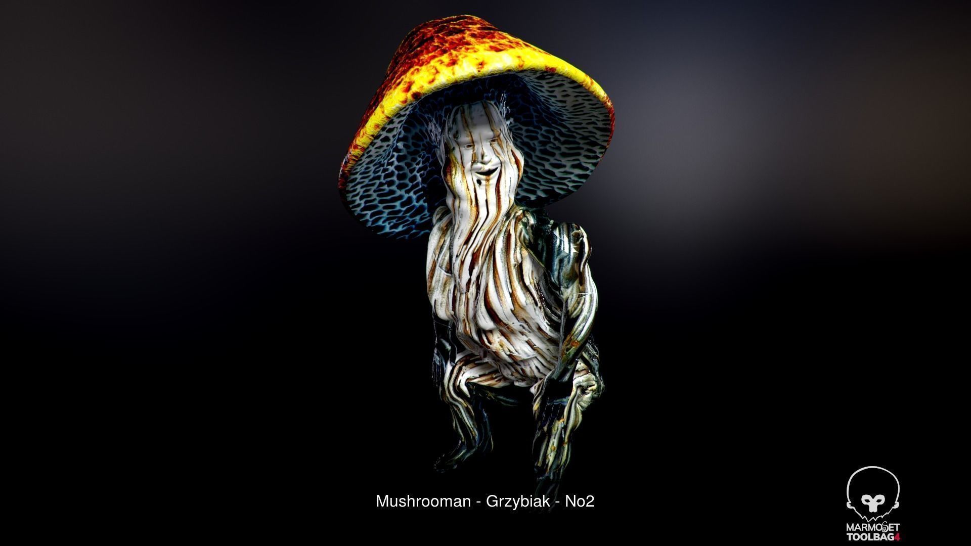 Mushroomans Collection fungus mushroom _14