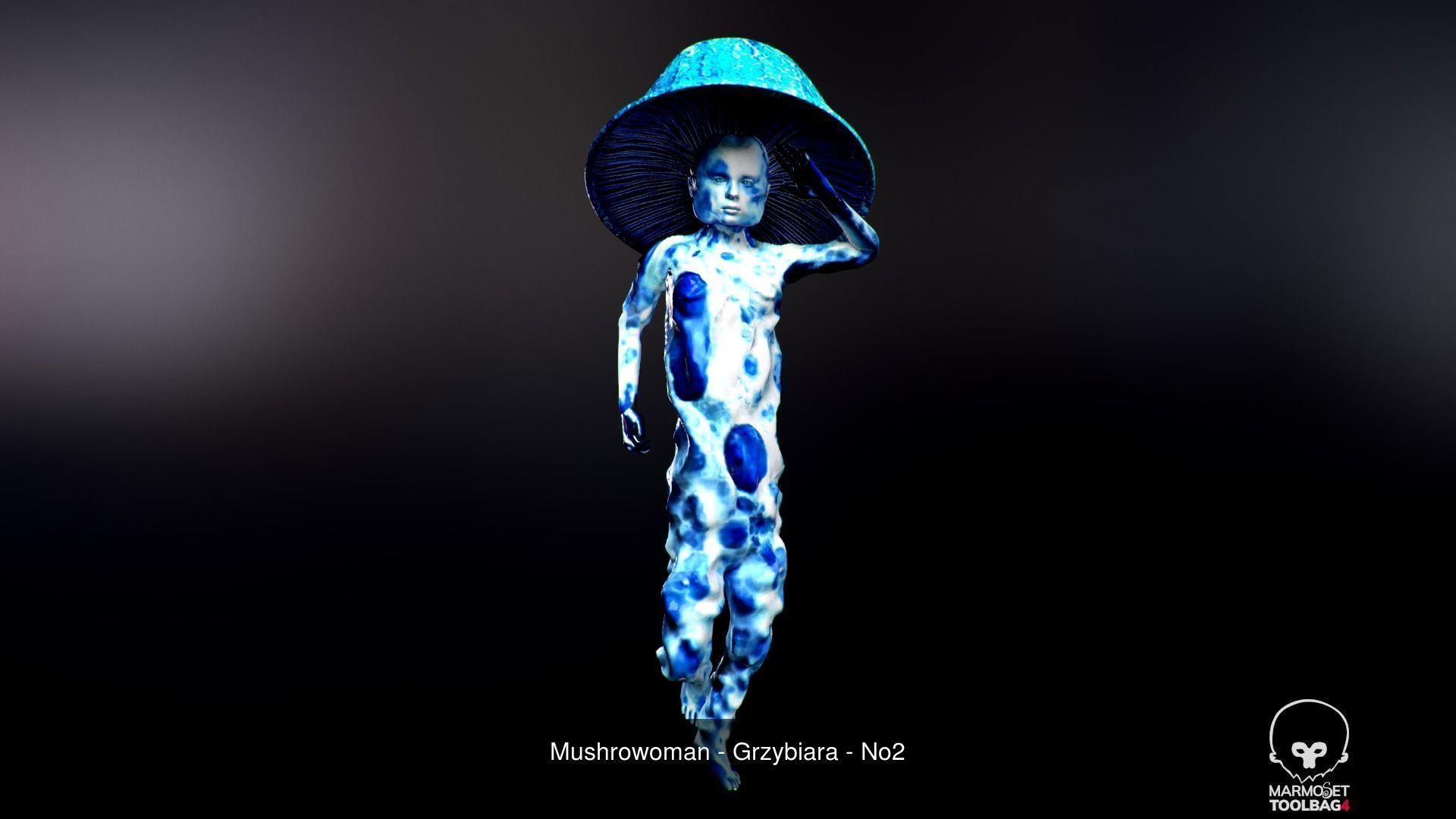 Mushroomans Collection fungus mushroom _18