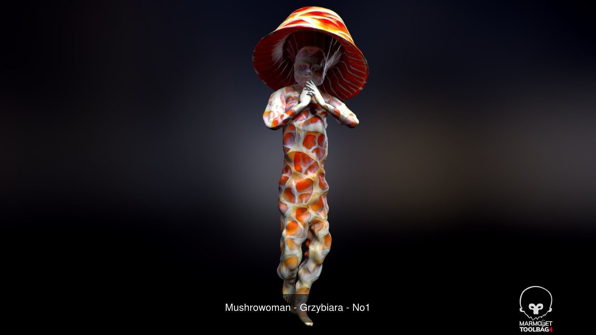 Mushroomans Collection fungus mushroom _16