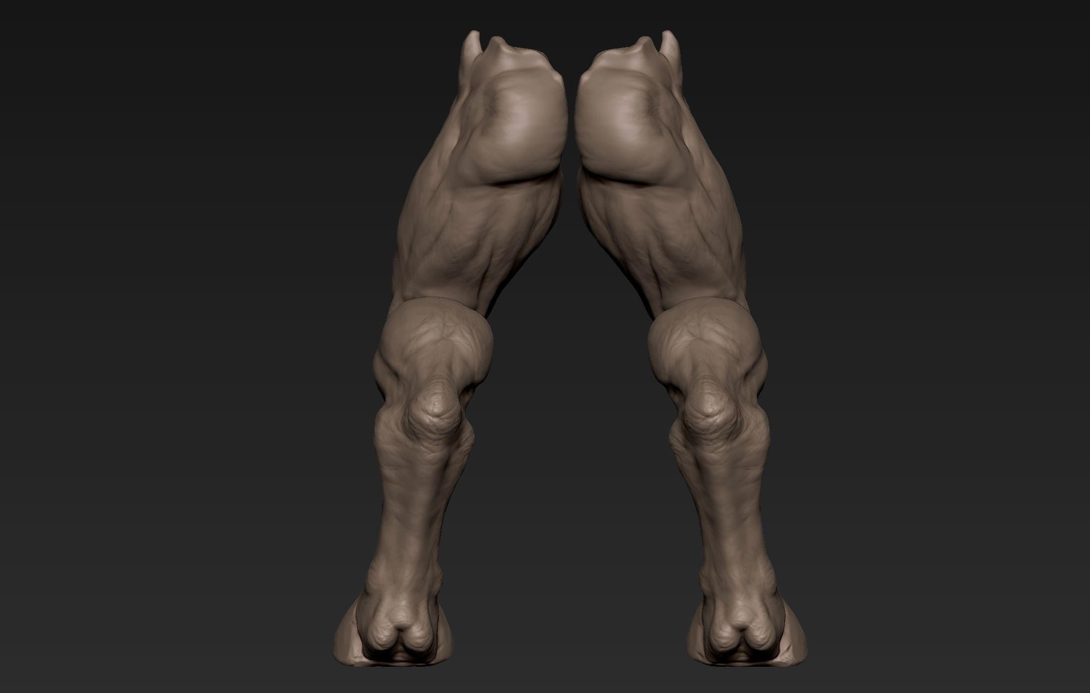 Creature  Legs  3D model_3