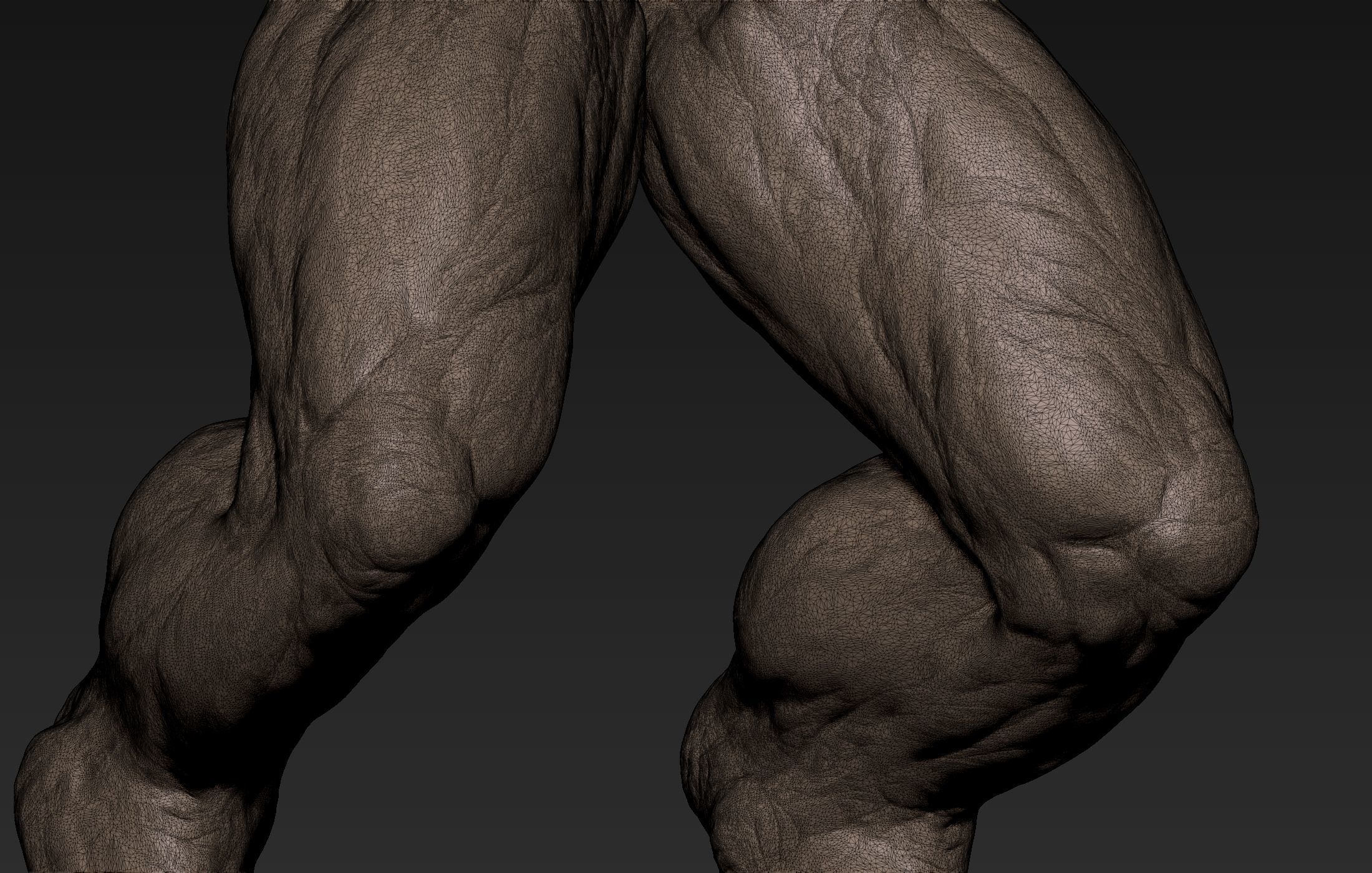 Creature  Legs  3D model_11