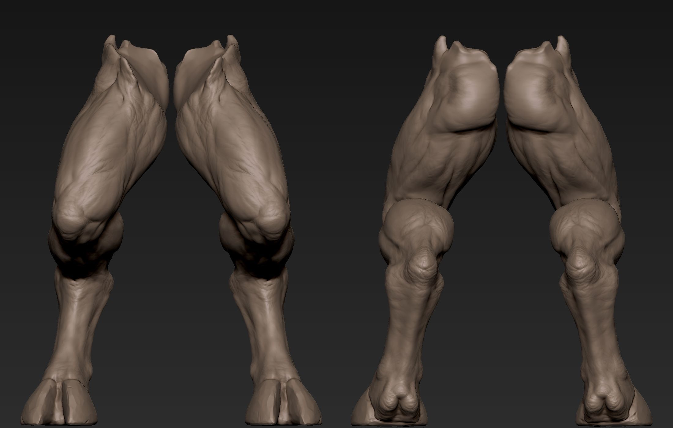 Creature  Legs  3D model_9