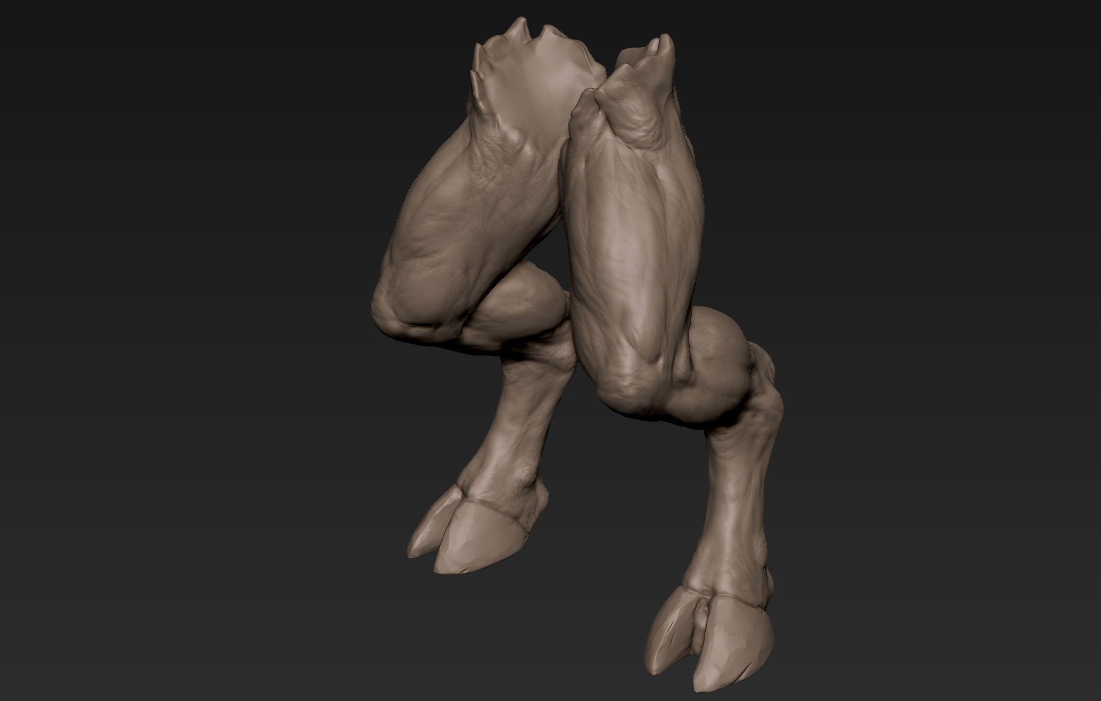 Creature  Legs  3D model_8