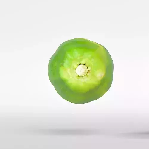 Papaya 3D model 7